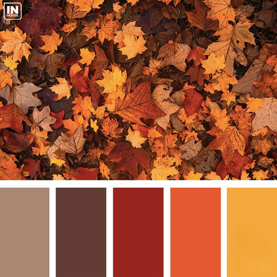 Các gam màu ấm thiết kế nội thất chung cư sử dụng